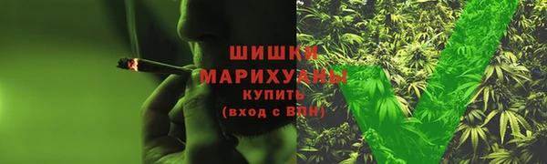 ешки Бронницы