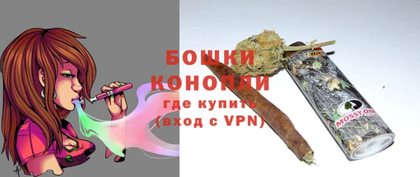 сатива Верхний Тагил