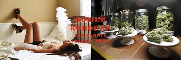 прущие грибы Верхнеуральск