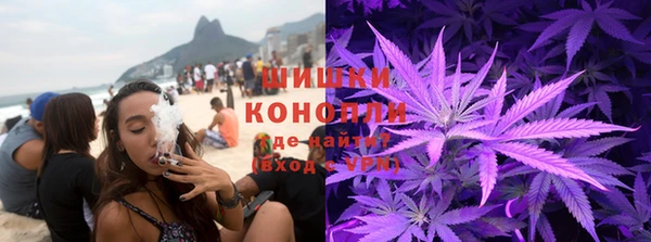 ешки Бронницы