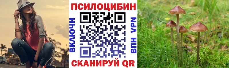 mega ссылки  Кириллов  Галлюциногенные грибы мицелий 